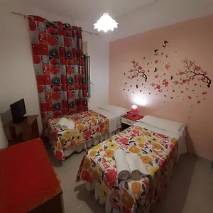Casa Del Nespolo Antico Appartamento